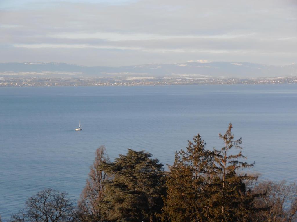 Hotel Evian Express - Terminus Værelse billede
